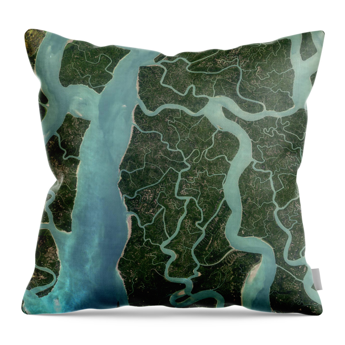 Satellite Image Throw Pillow featuring the digital art Sundarbans mangroves from space by Christian Pauschert