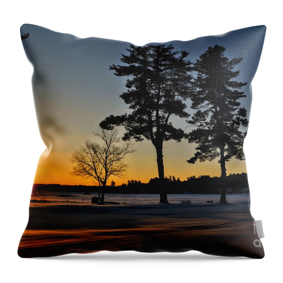 Webster Lake Throw Pillow featuring the photograph Sunday Funday - Webster Lake, New Hampshire by Dave Pellegrini