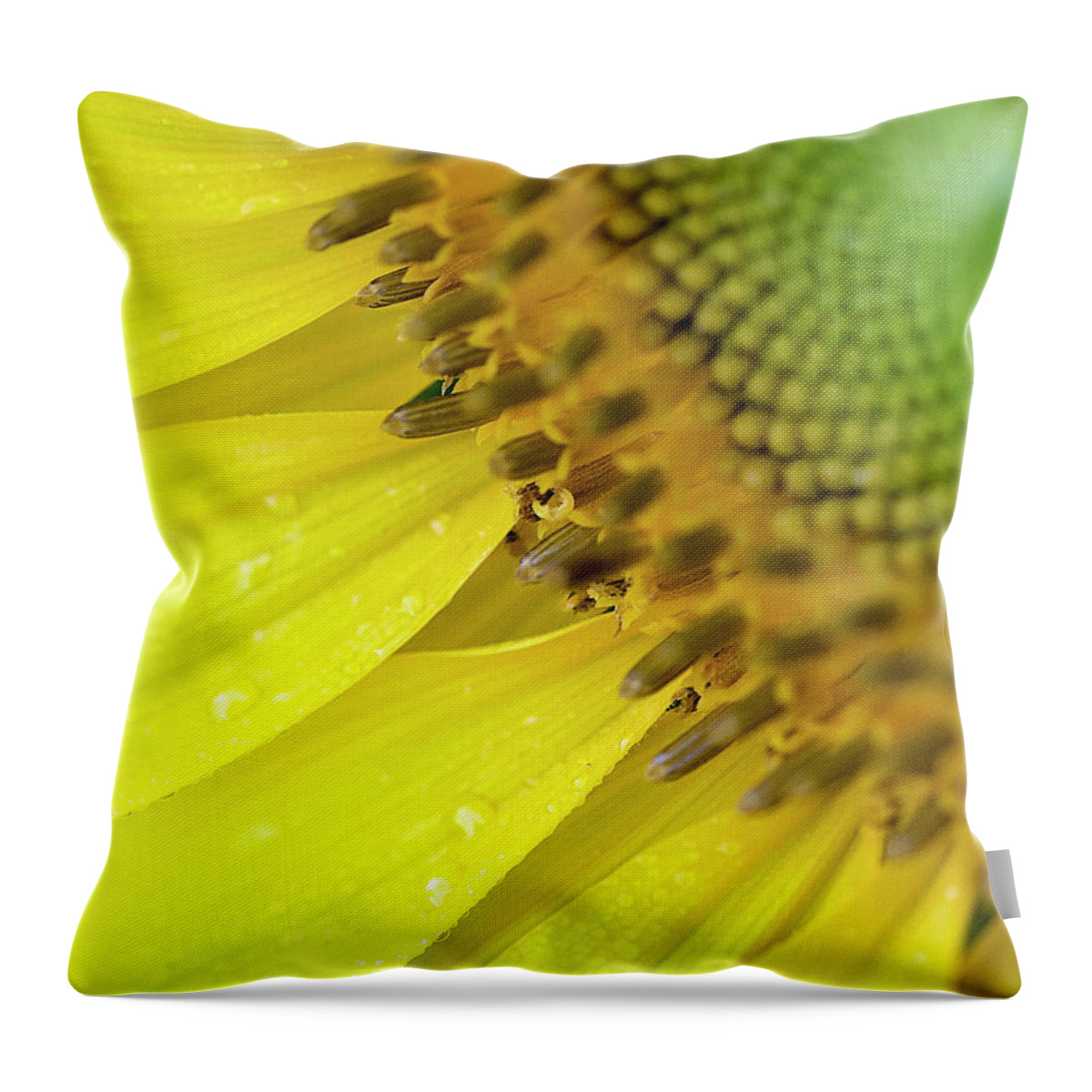 Sunflower Throw Pillow featuring the photograph Sunflower Corner by Deborah Penland