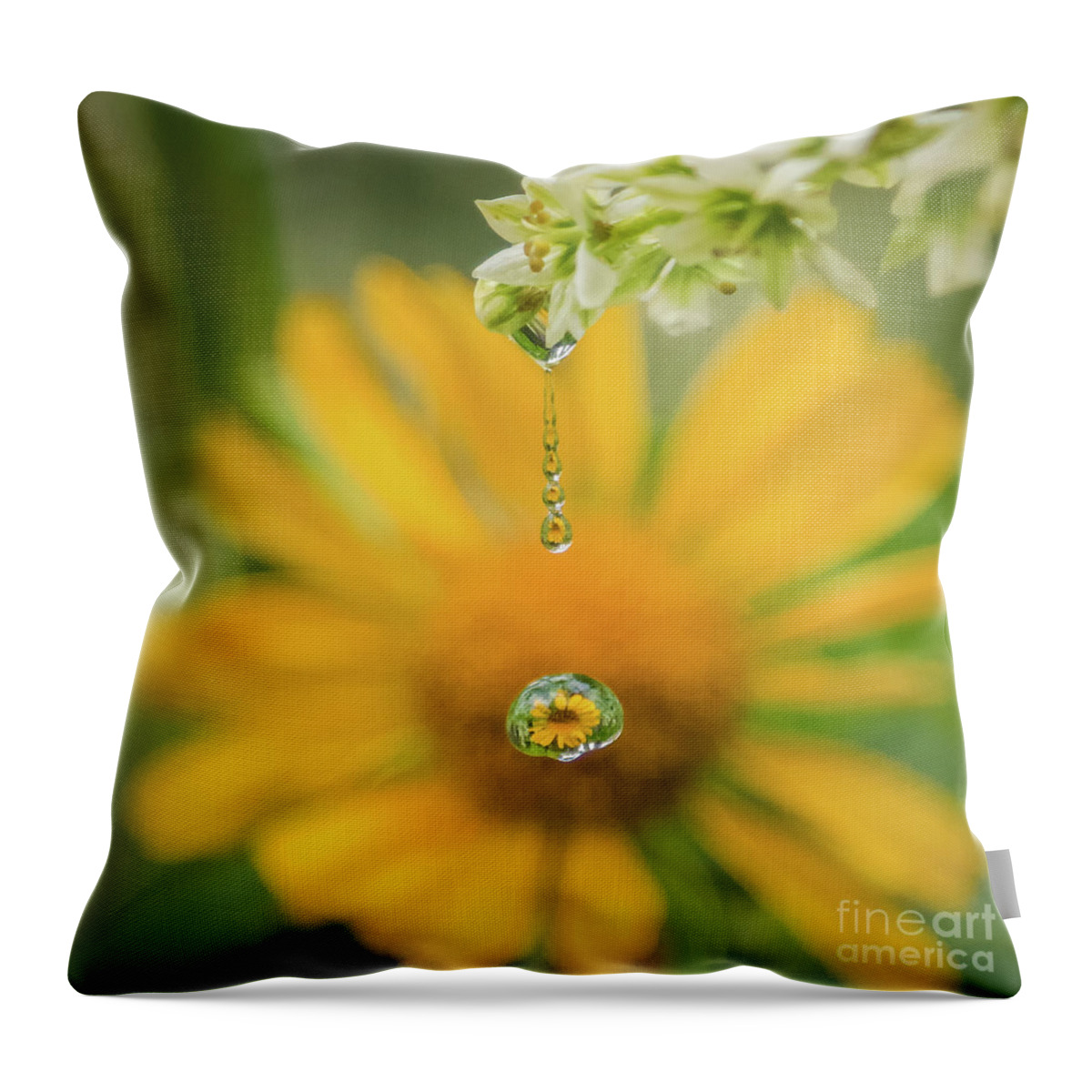 Sunflower Throw Pillow featuring the photograph Sunflower Sparkle by Melissa Lipton