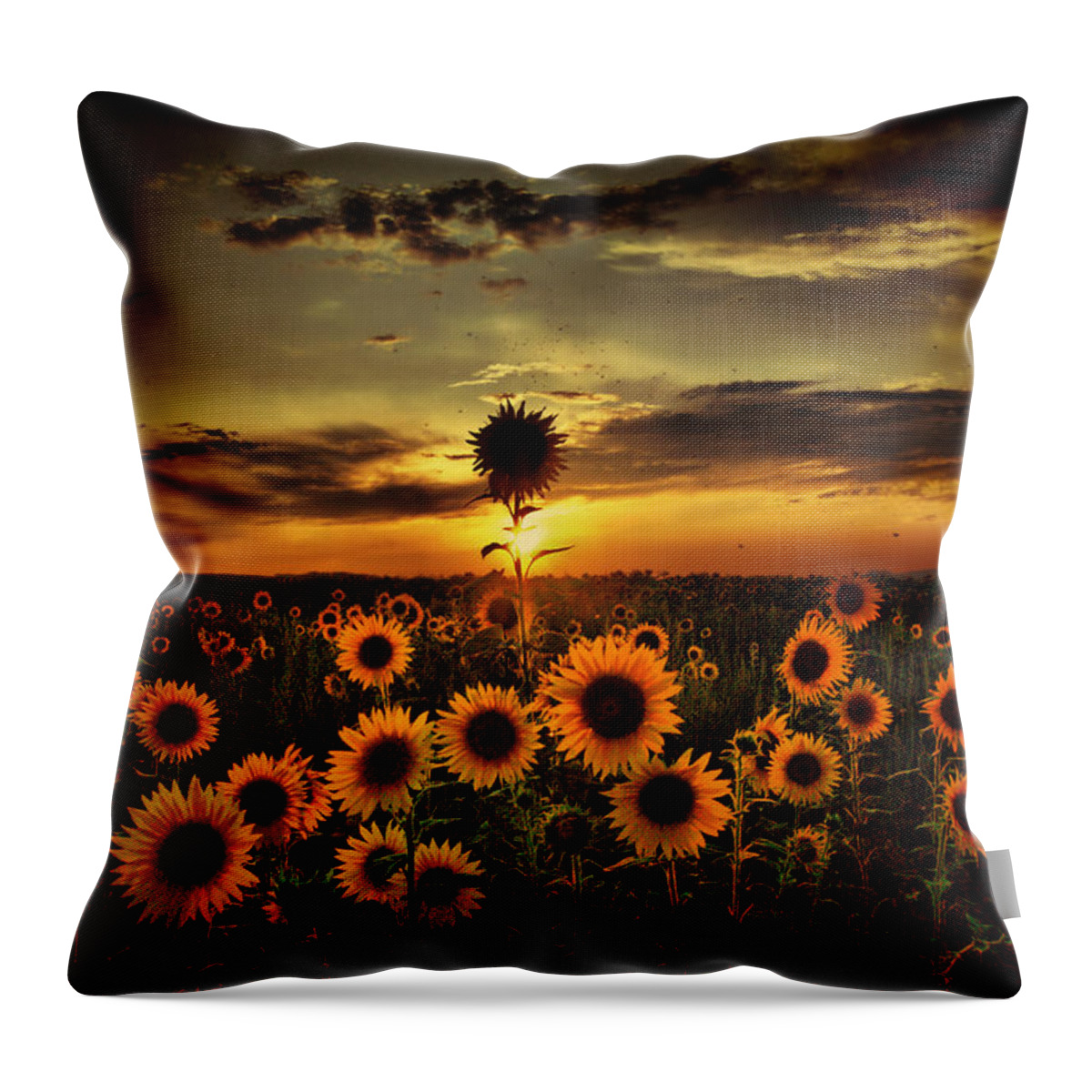 Tranquility Throw Pillow featuring the photograph Sunflowers At Dusk by Stehlibela-alias-scarbody
