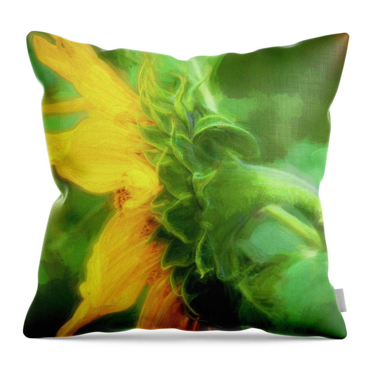 Sunflower Throw Pillow featuring the photograph Sunflowers Helianthus 144 by Rich Franco