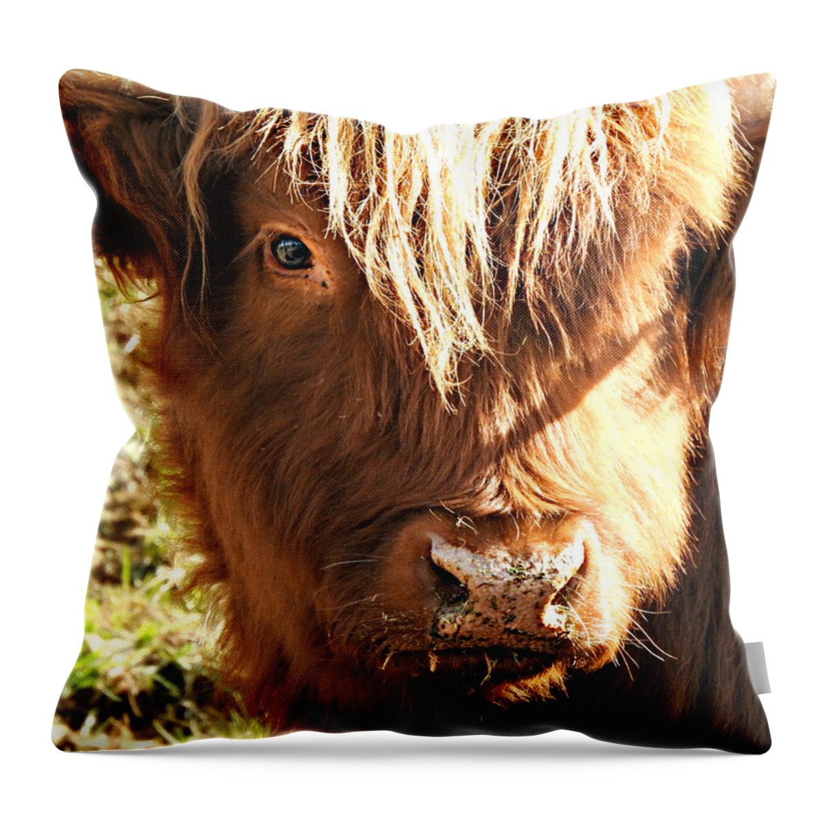 Sunkissed Throw Pillow featuring the photograph Sunkissed by Dark Whimsy