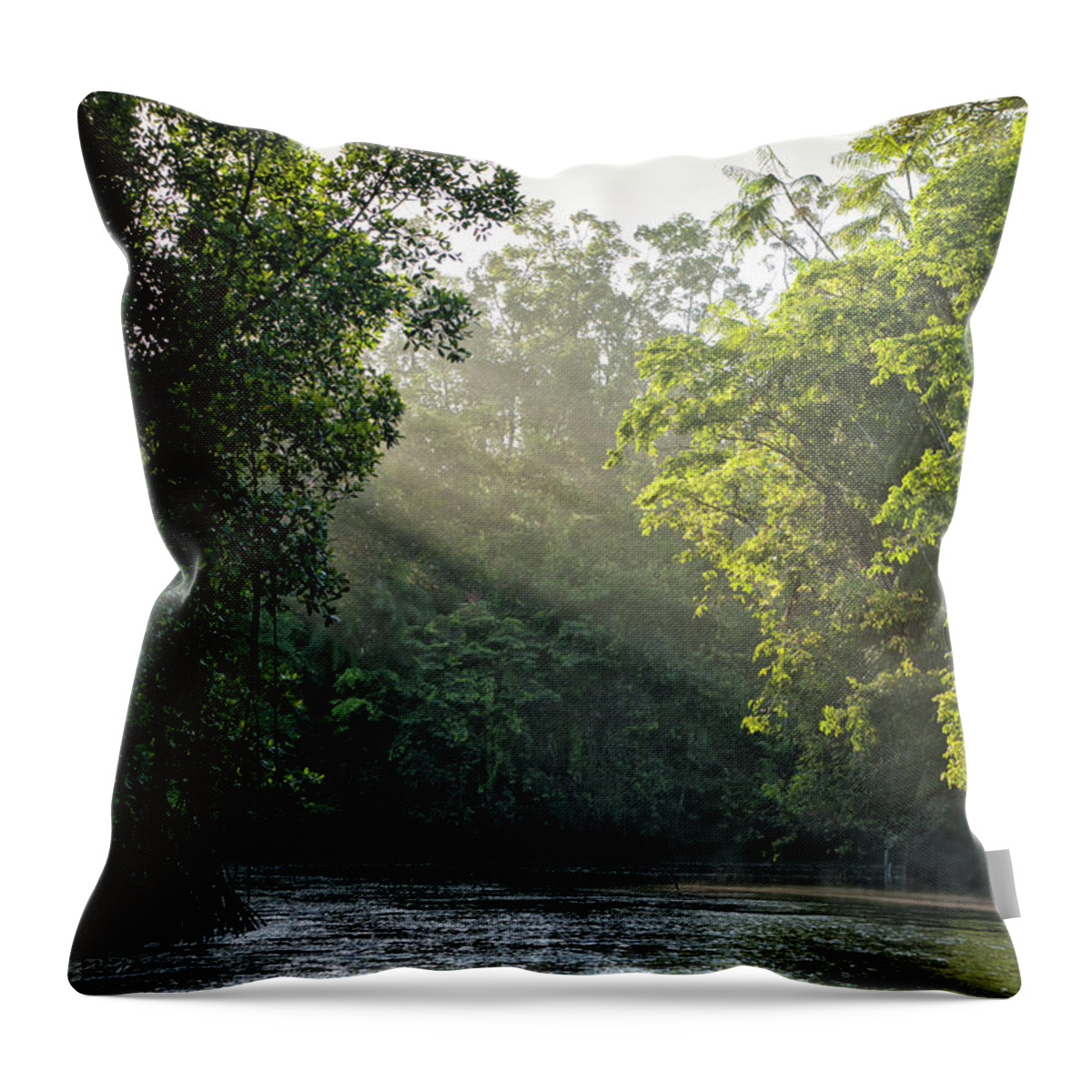 Tropical Rainforest Throw Pillow featuring the photograph Sunlight Shining Through Trees On River by Brasil2