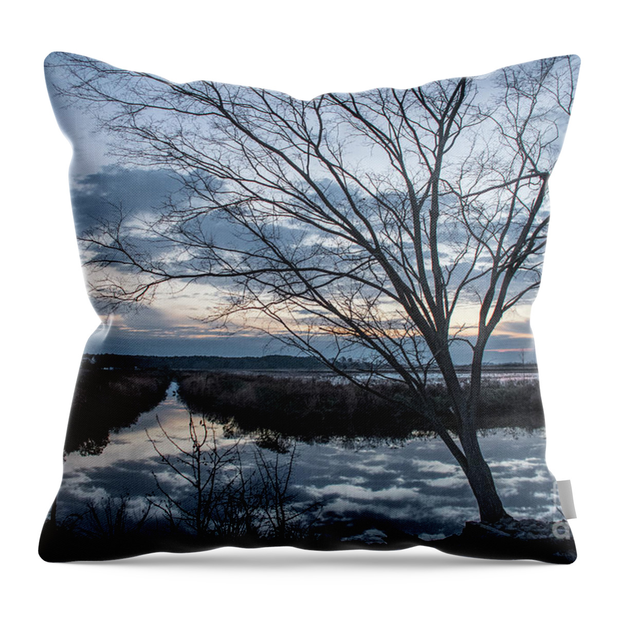 Sunrise Throw Pillow featuring the photograph Sunrise - Blackwater NWR by John Greco