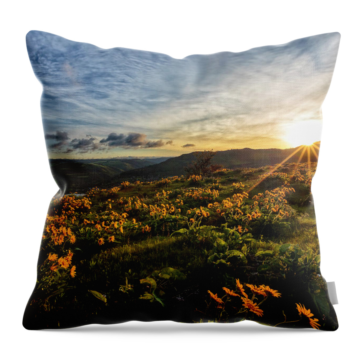 Sunrise In The Gorge Throw Pillow featuring the photograph Sunrise in the Gorge by Wes and Dotty Weber