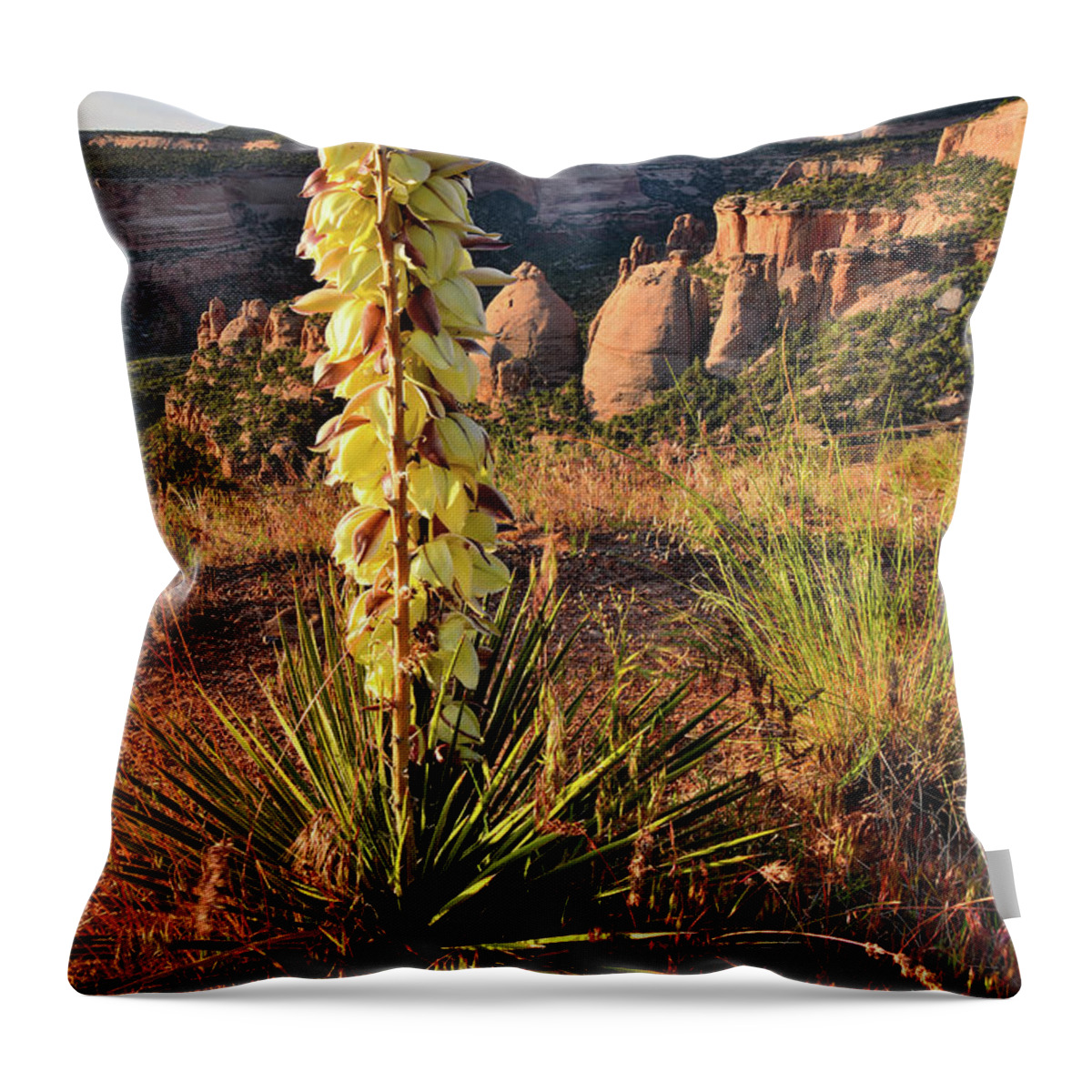 Colorado National Monument Throw Pillow featuring the photograph Sunrise on Blooming Yucca above Coke Ovens by Ray Mathis