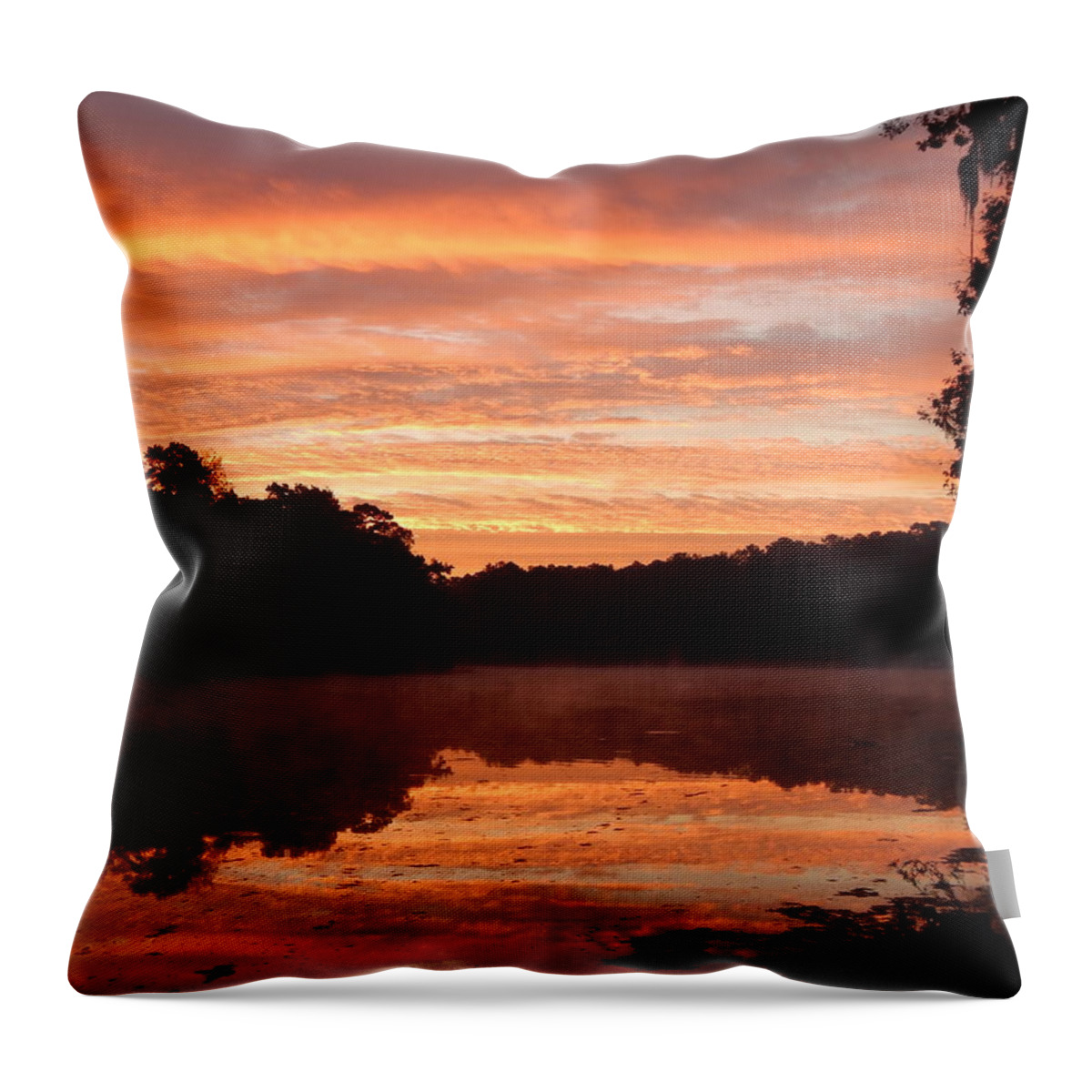 Sunrise Throw Pillow featuring the photograph Sunrise Stripes by Karen Stansberry