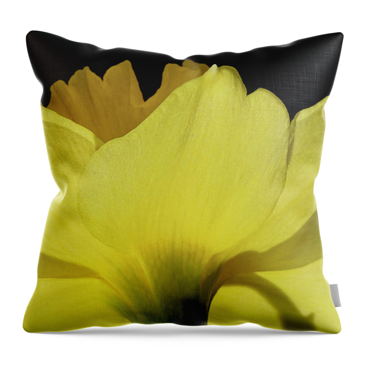 Yellow Throw Pillow featuring the photograph Sun's Energy by Kathi Mirto