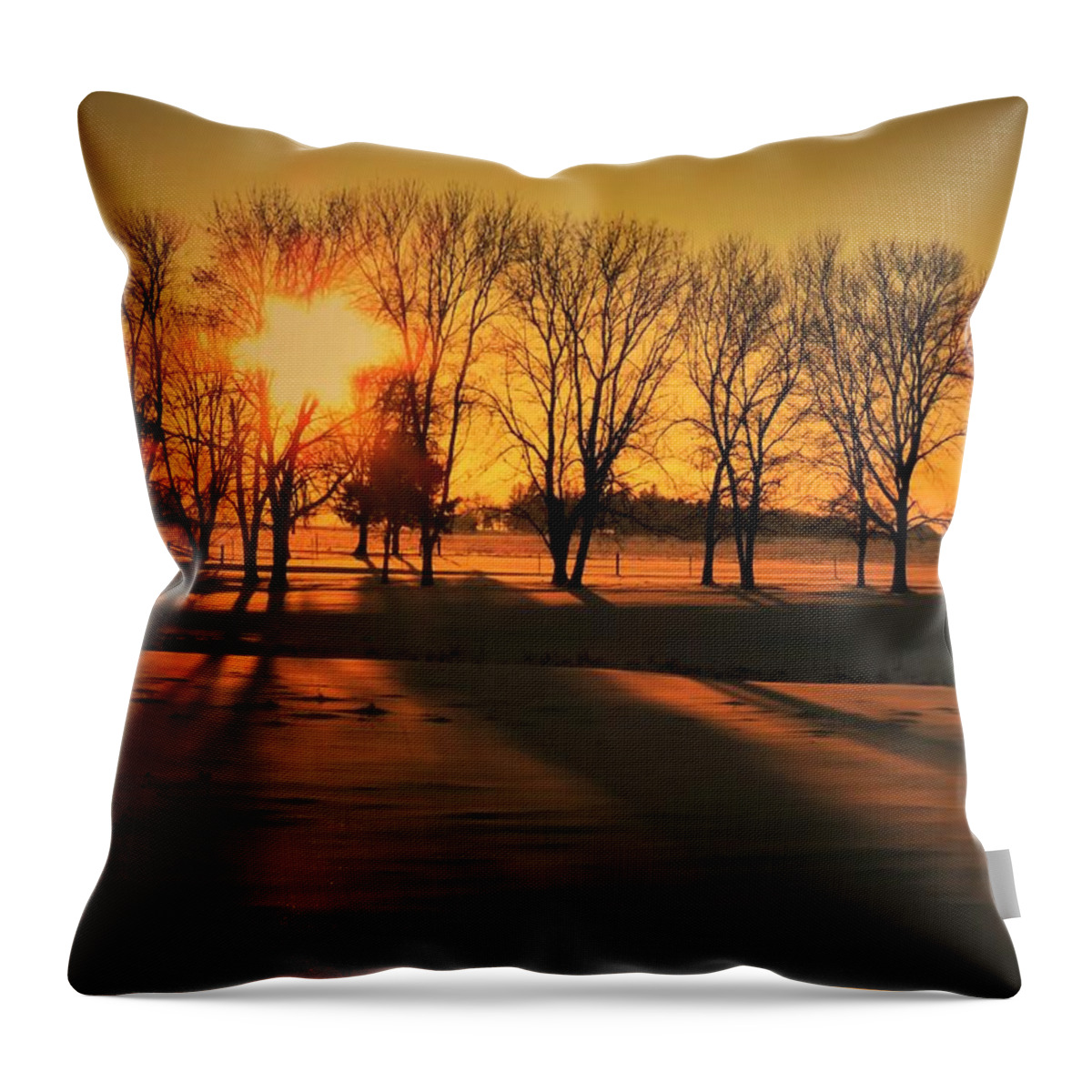 Sunset Throw Pillow featuring the photograph Sunset and Shadows by Lori Frisch