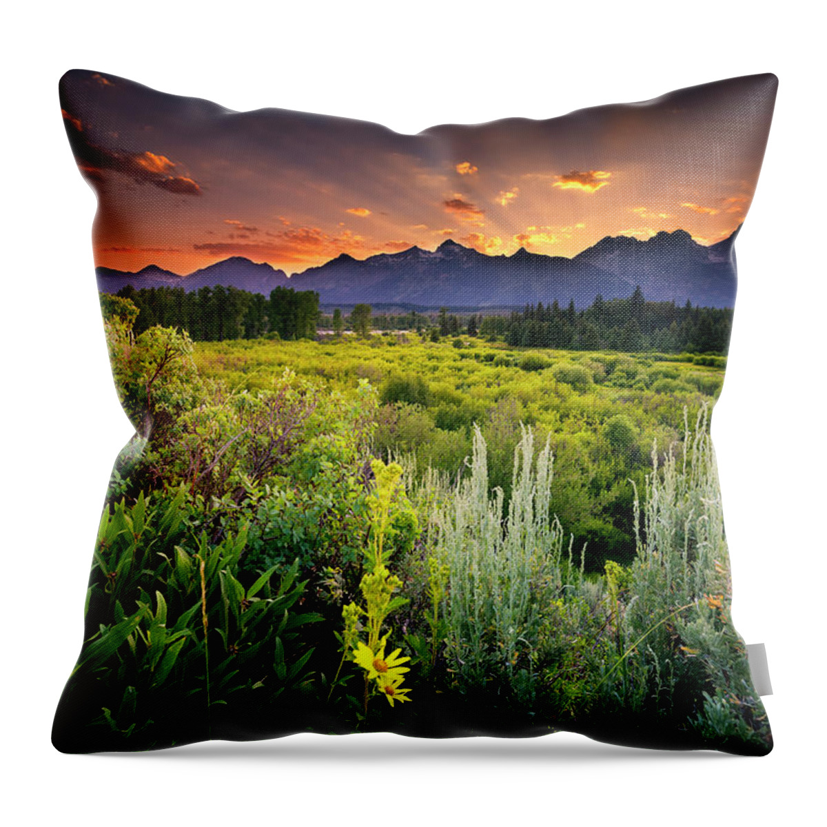 Tranquility Throw Pillow featuring the photograph Sunset At Blacktail Ponds Overlook by Dean Fikar