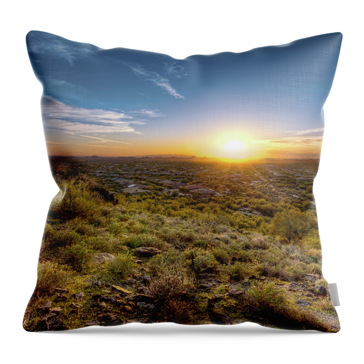 Tranquility Throw Pillow featuring the photograph Sunset Cactus by Cebimagery.com
