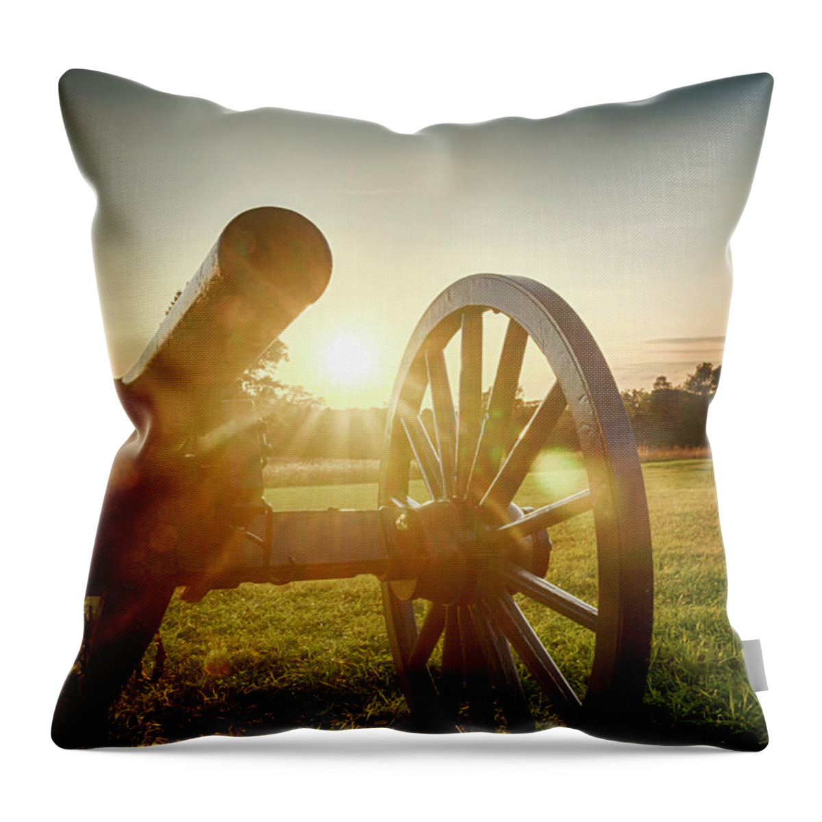 Sun Throw Pillow featuring the photograph Sunset Canon by Travis Rogers