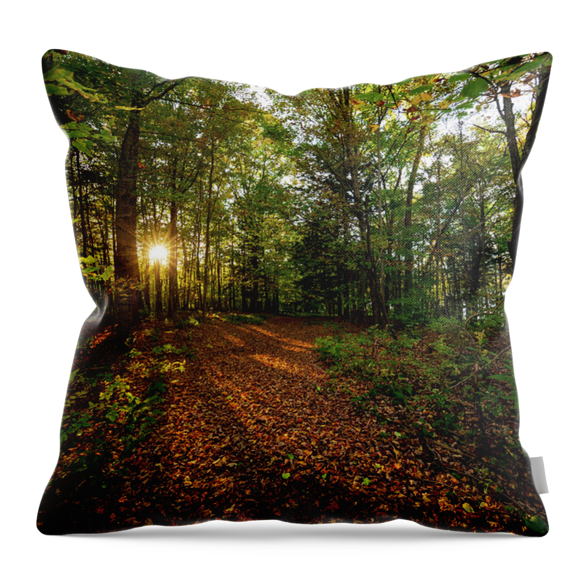 Sunset Throw Pillow featuring the photograph Sunset in the forrest #1381 by Michael Fryd