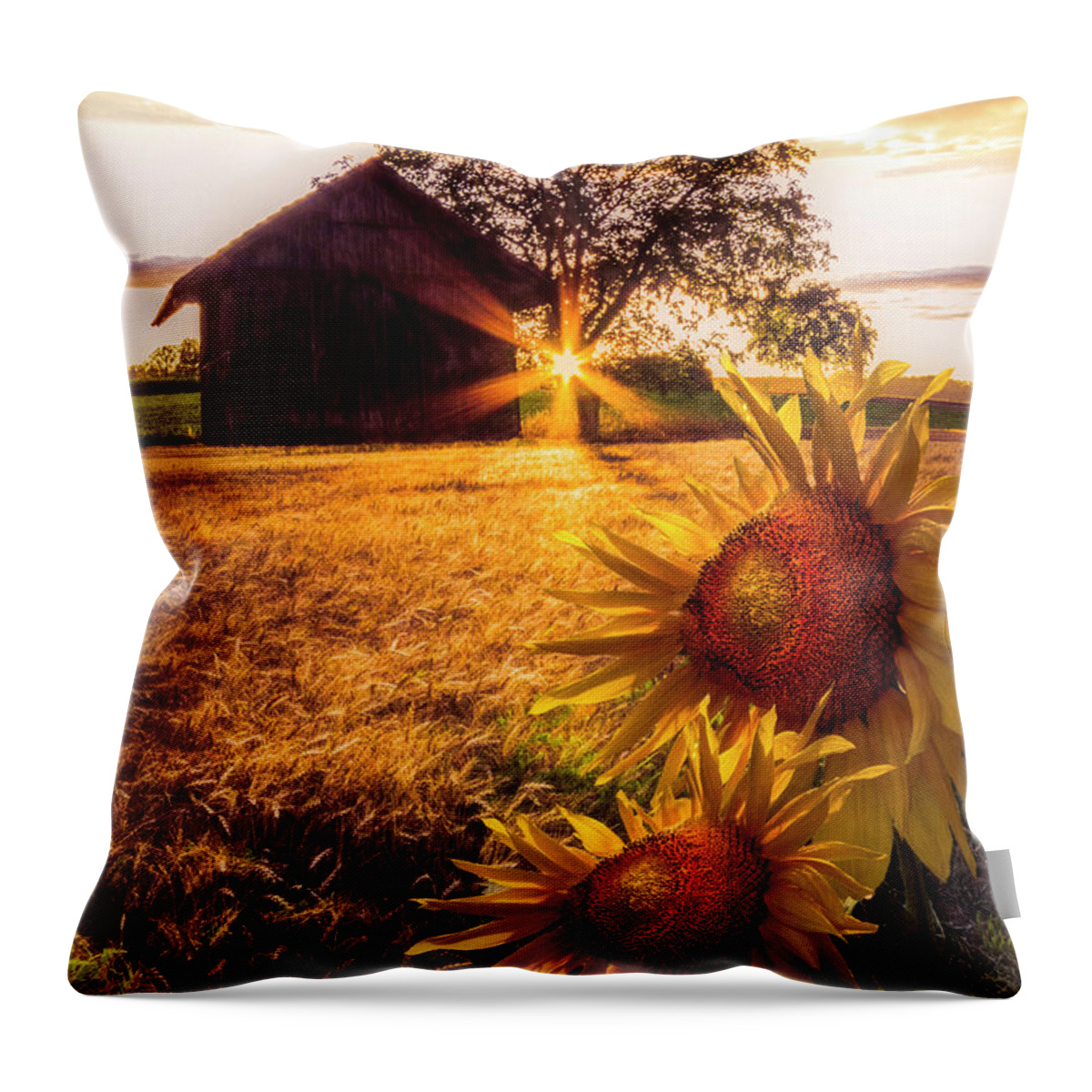 Barns Throw Pillow featuring the photograph Sunset Longing by Debra and Dave Vanderlaan
