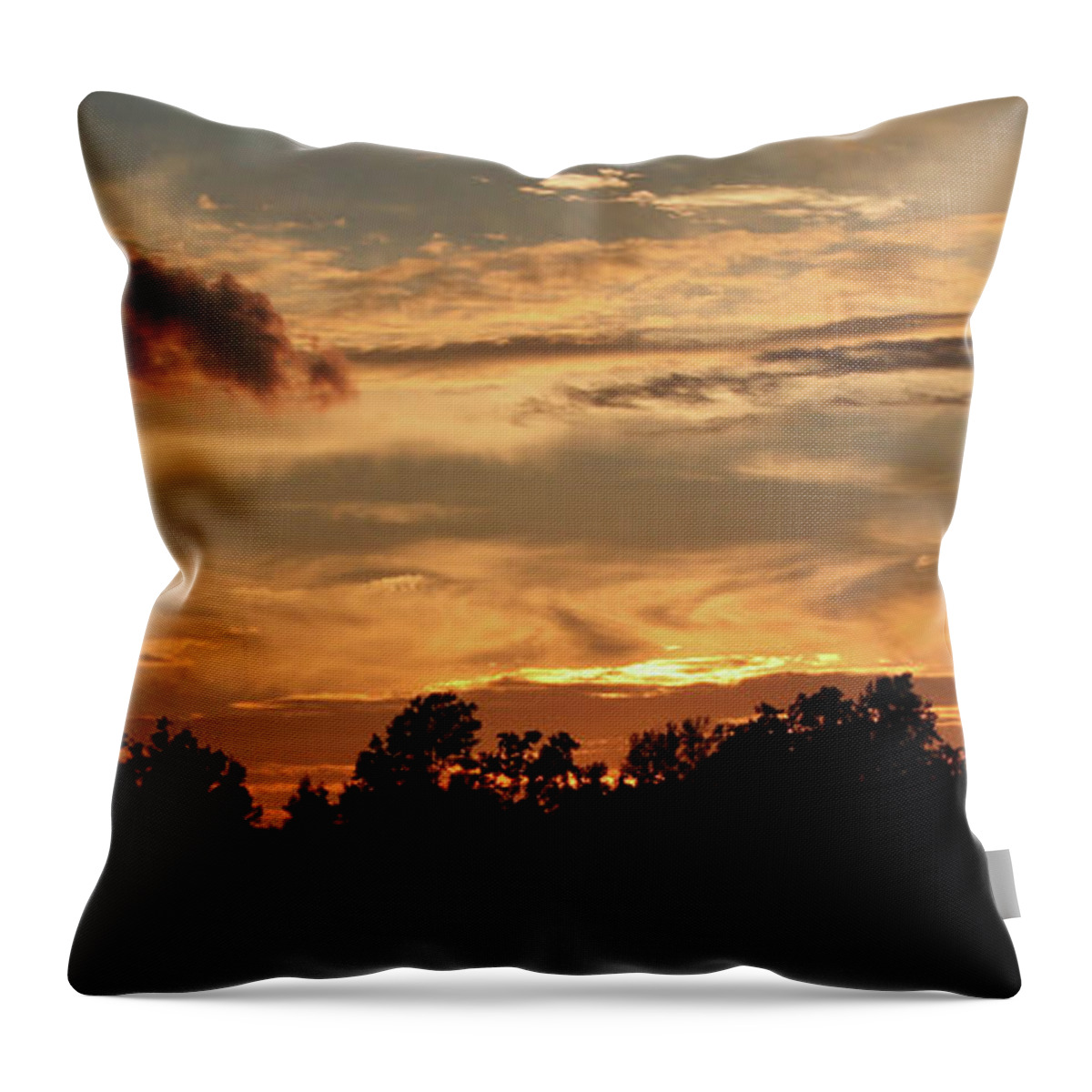 Sunset Throw Pillow featuring the photograph Sunset on the Farm by Karen Harrison Brown