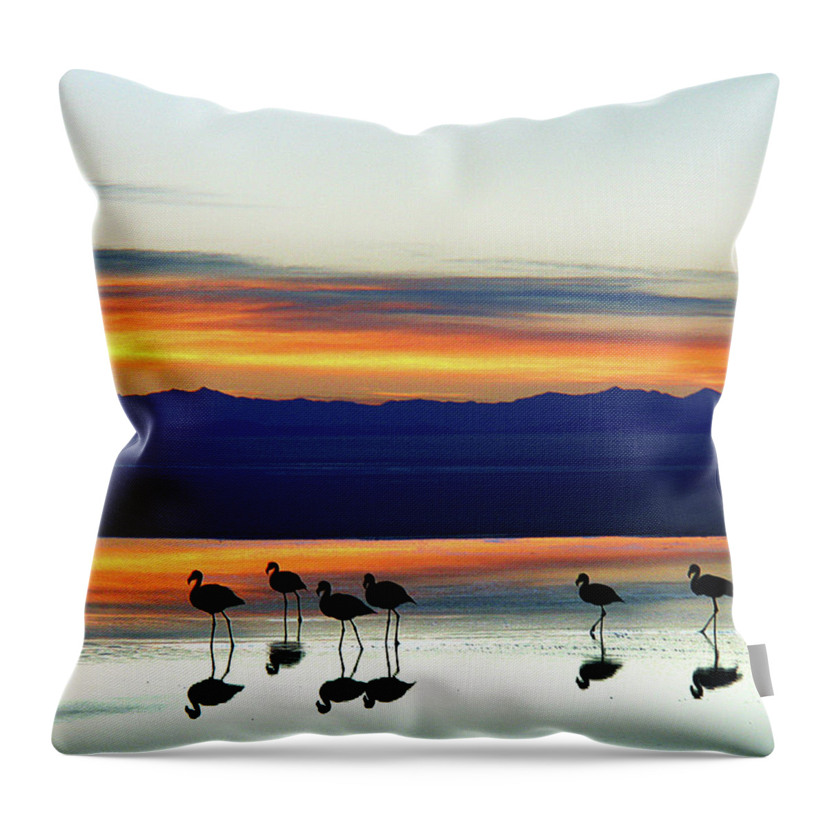 Tranquility Throw Pillow featuring the photograph Sunset On The Uyuni Salt Desert, Bolivia by Raúl Barrero Photography