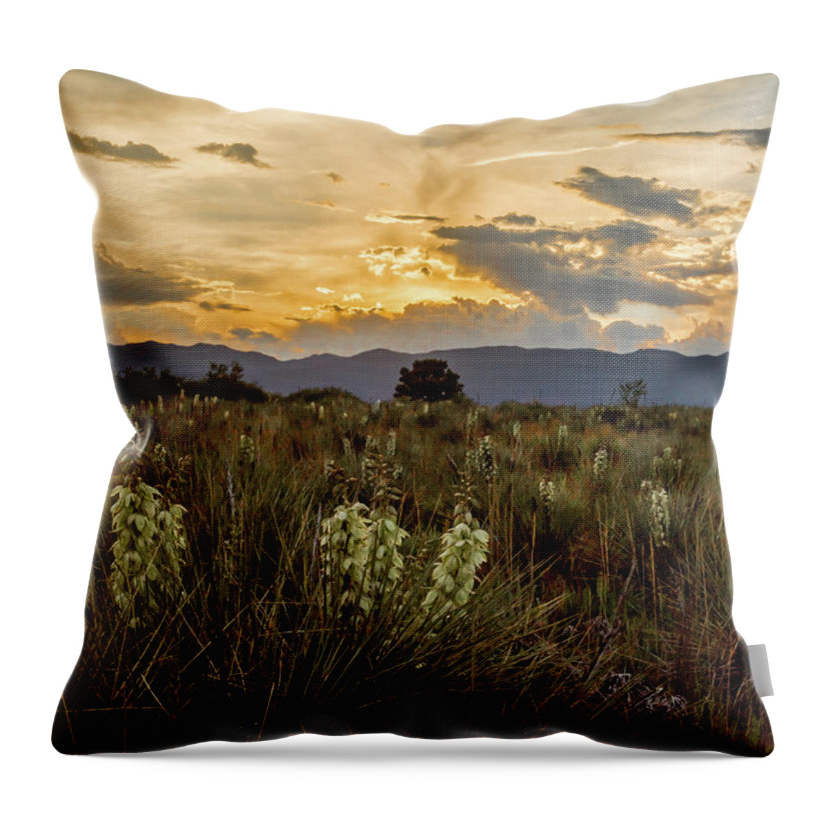 Colorado Throw Pillow featuring the photograph Sunset over Colorado by Jaime Mercado