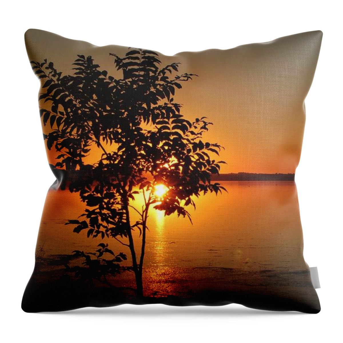Sunset Throw Pillow featuring the digital art Sunset Painting by Sandra J's
