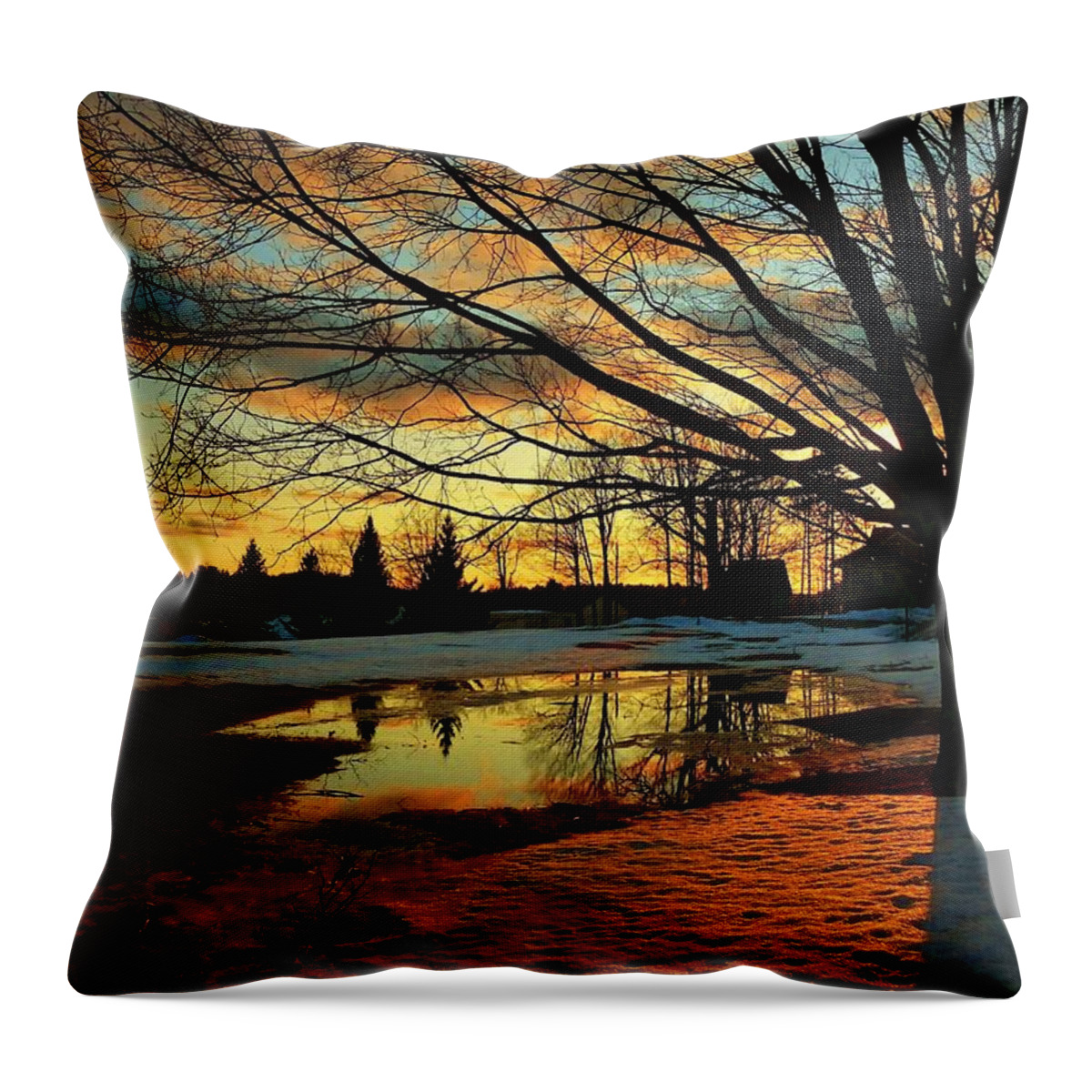 Landscape Throw Pillow featuring the photograph Sunset Shadows by Elaine Franklin