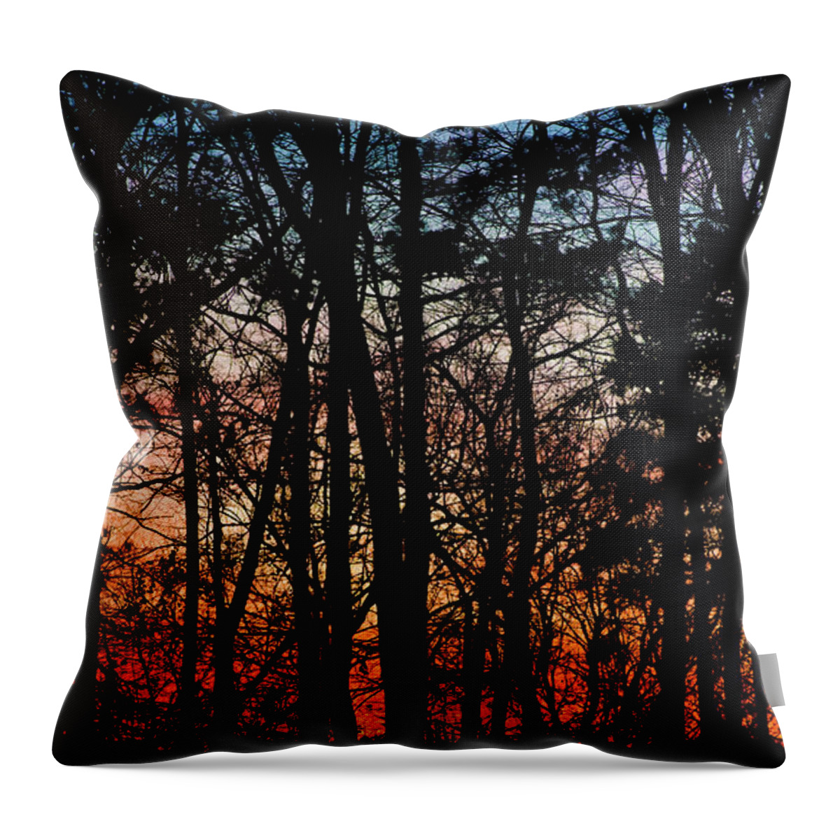 St. Florian Throw Pillow featuring the photograph Sunset Through the Trees of Winter by James-Allen