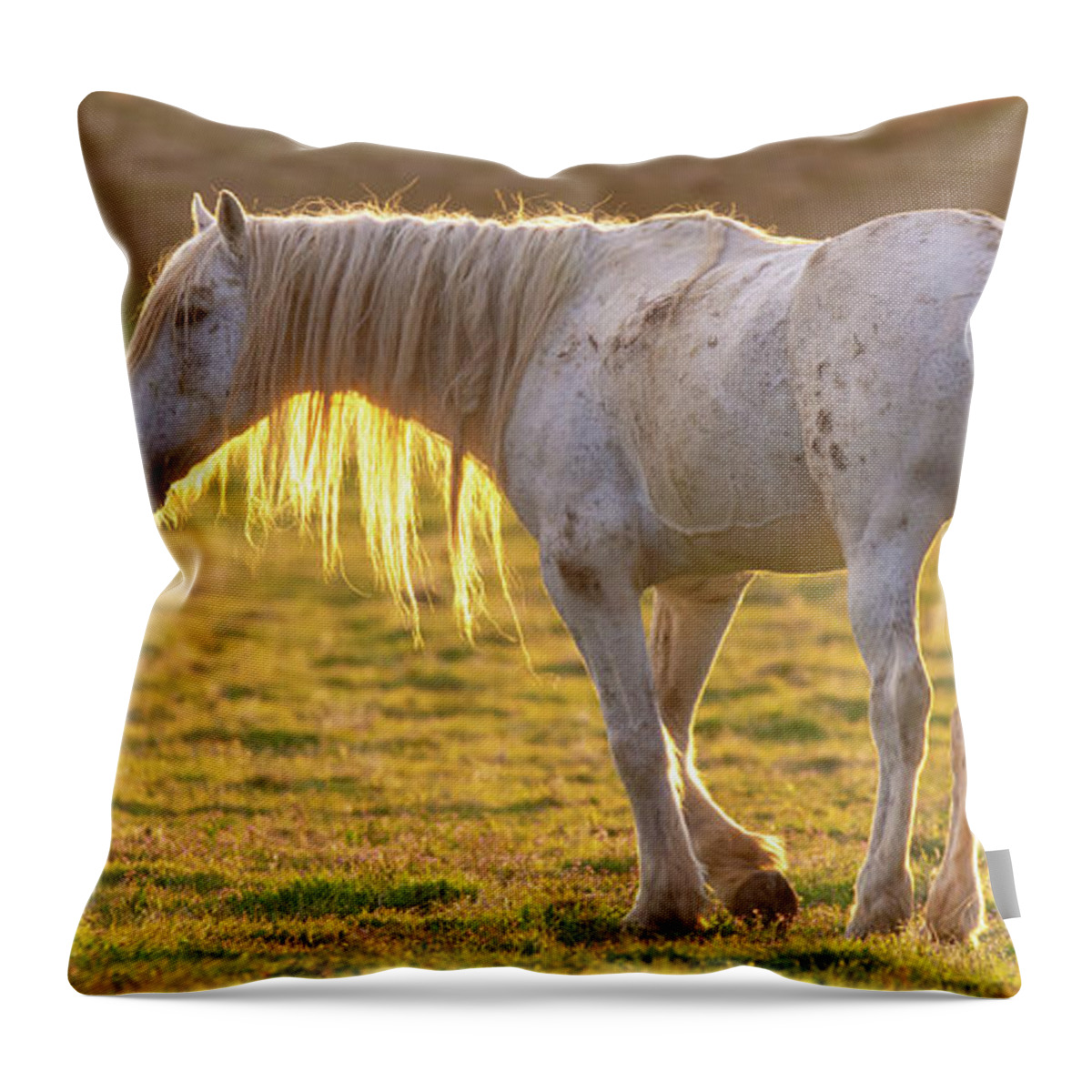 Wild Horses Throw Pillow featuring the photograph Sunset with the old guy by Mary Hone