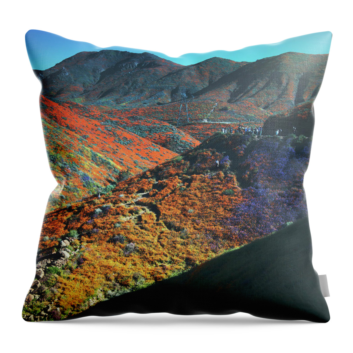 Poppies Throw Pillow featuring the photograph Color Explosion by Joy Newcomb