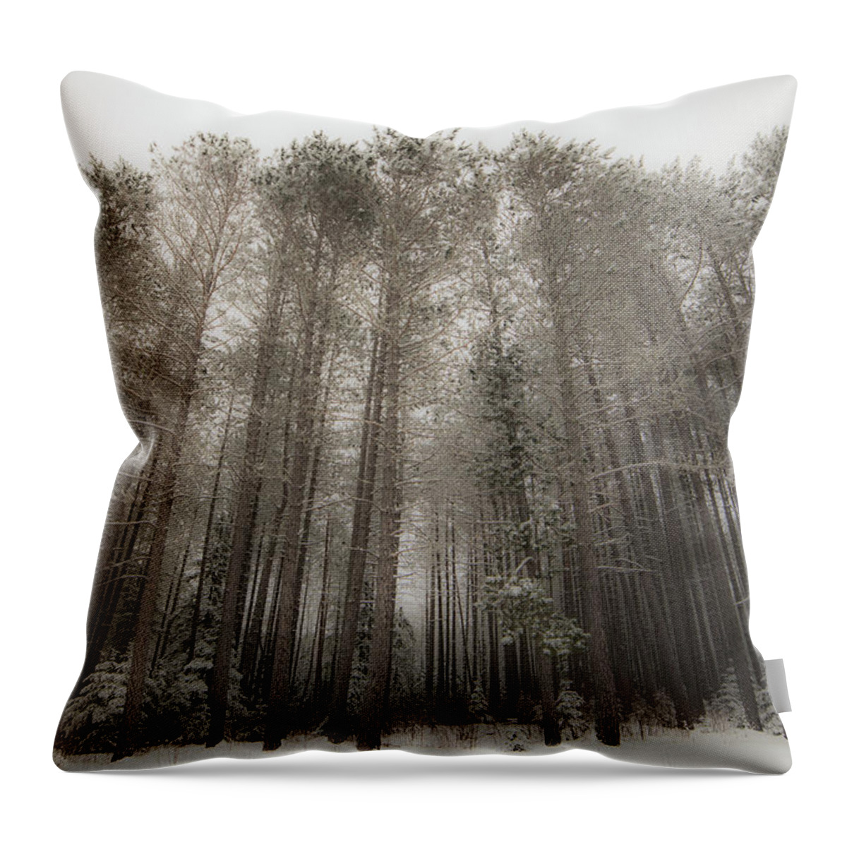 Superior National Forest Throw Pillow featuring the photograph Superior National Forest by Joe Kopp