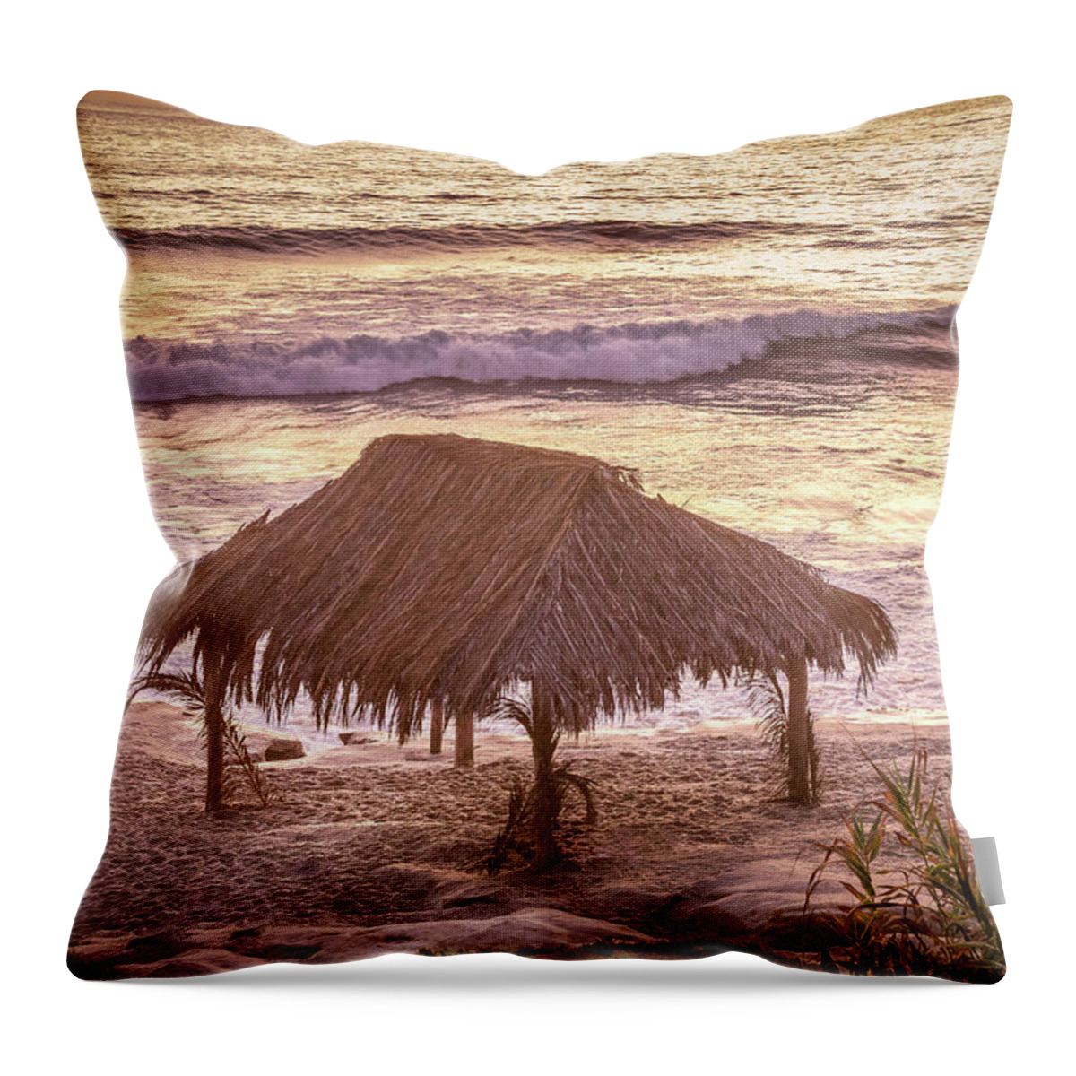 Beach Throw Pillow featuring the photograph Surfer Shack by Aaron Burrows