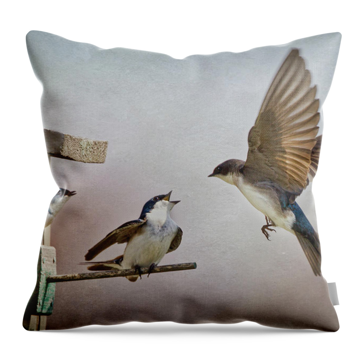 Animal Themes Throw Pillow featuring the photograph Swallows At Birdhouse by Betty Wiley