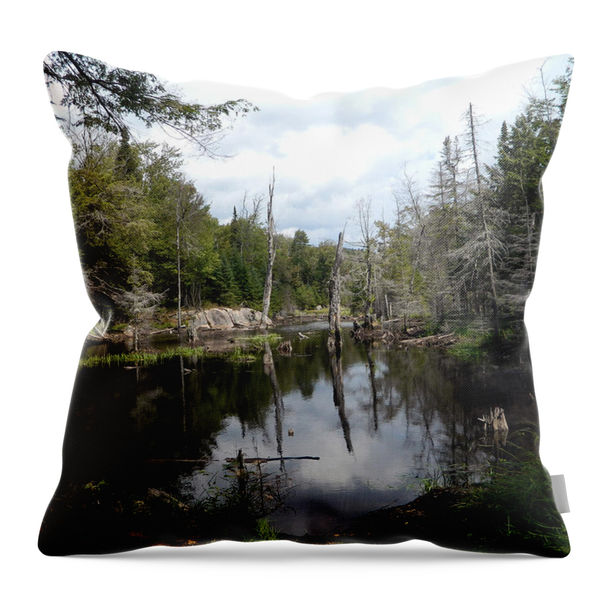  Throw Pillow featuring the photograph Swamp by Adrian Maggio