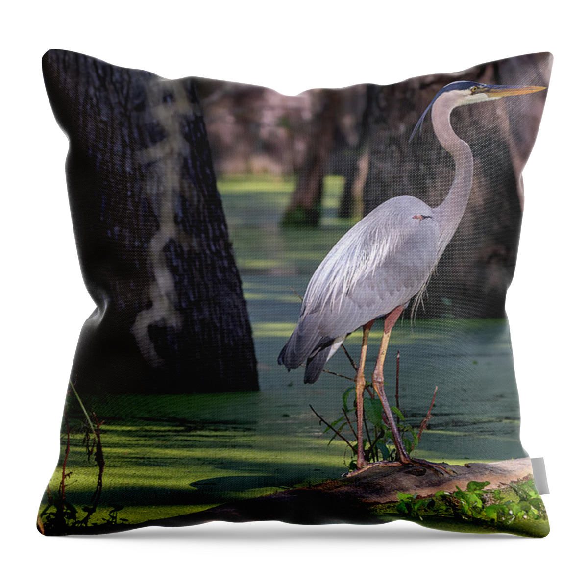 Great Blue Heron Throw Pillow featuring the photograph Swamp Heron by JASawyer Imaging