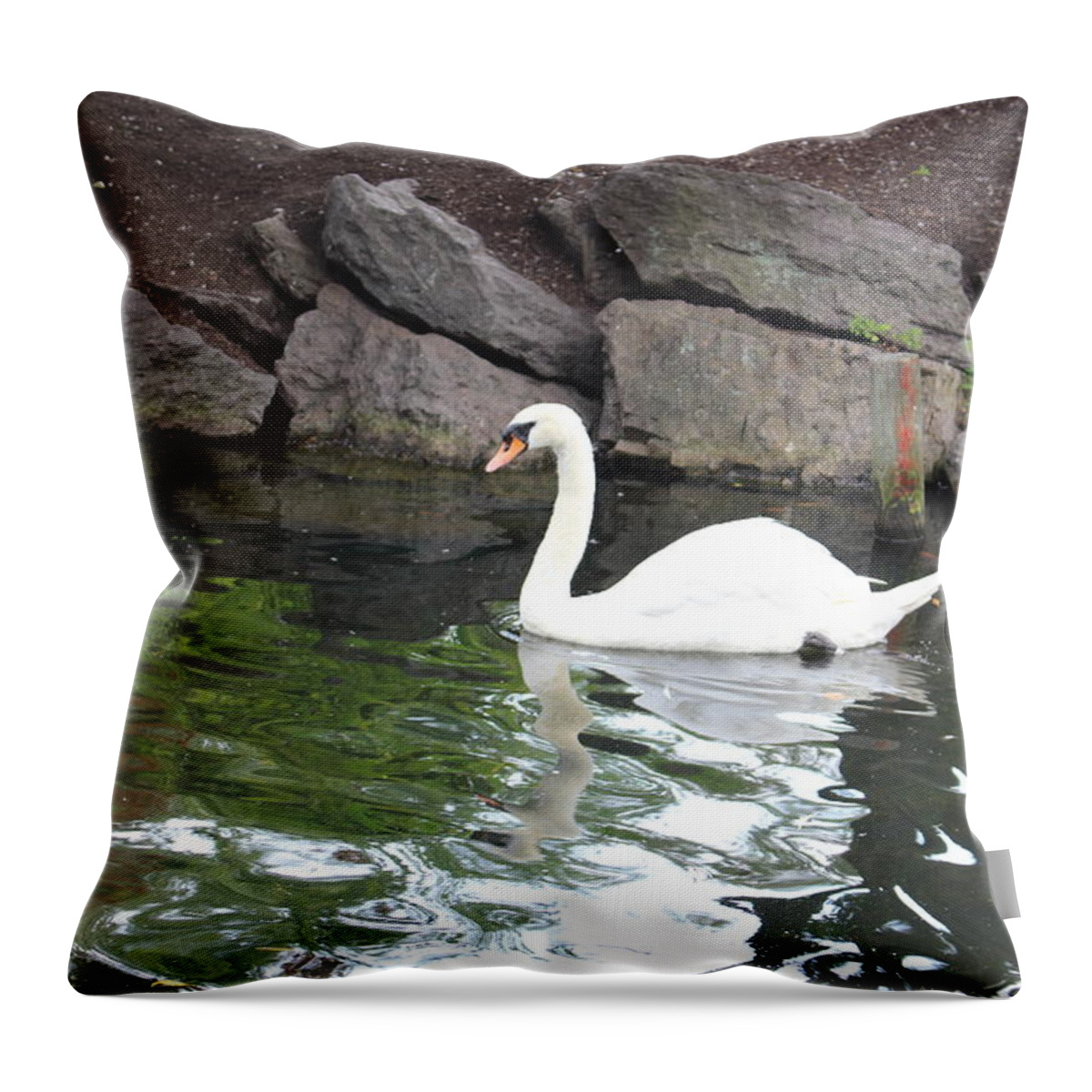 Swan Throw Pillow featuring the photograph Swan in Boston Public Garden by Laura Smith