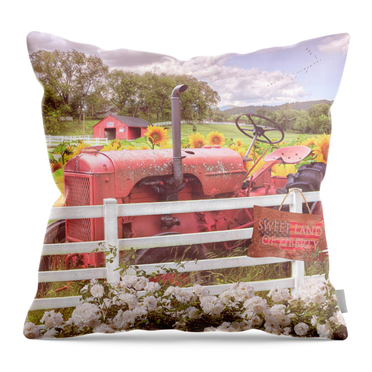 Andrews Throw Pillow featuring the photograph Sweet Land of Liberty in America Country by Debra and Dave Vanderlaan