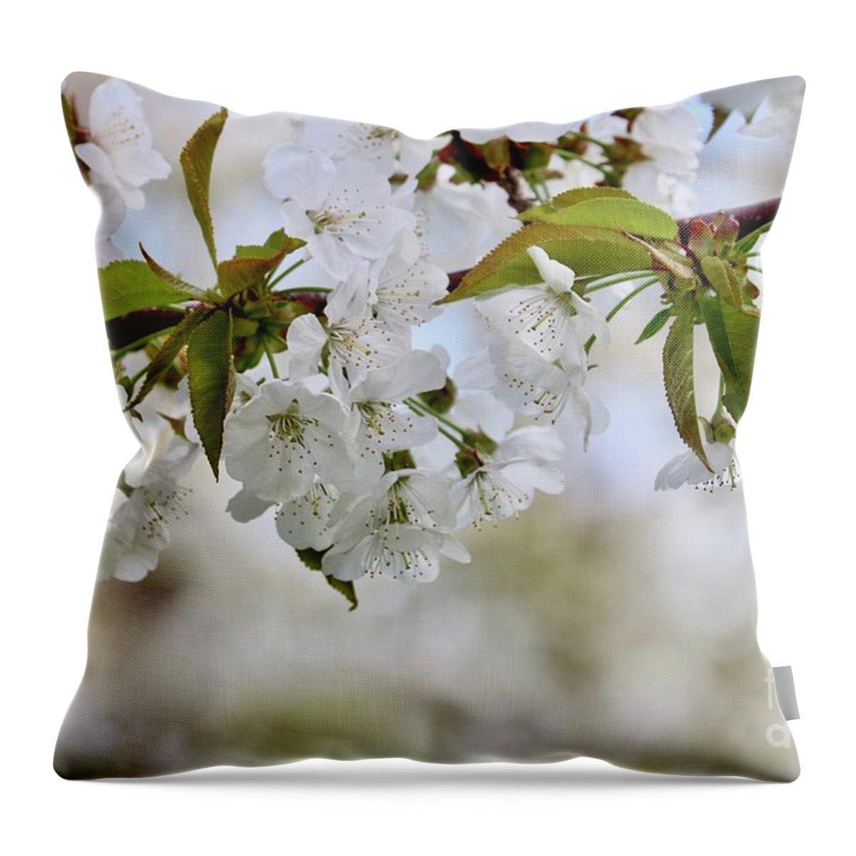 White Cherry Blossoms Throw Pillow featuring the photograph Sweet White Cherry Blossoms by Carol Groenen
