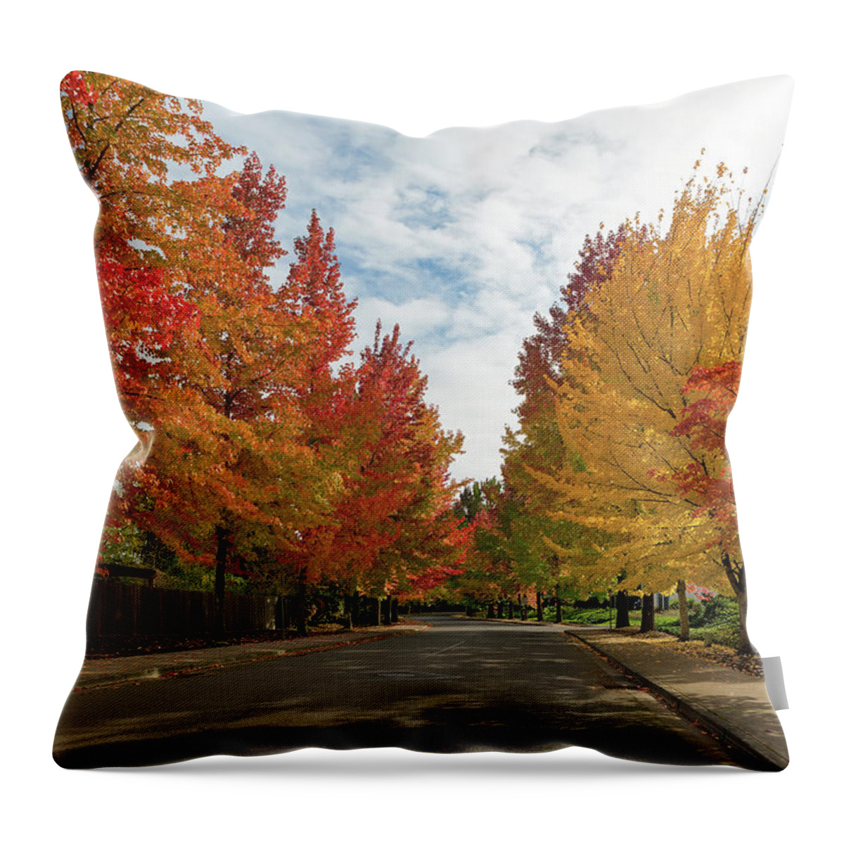 Maple Throw Pillow featuring the photograph Sweetgum Trees Foliage Lined Street during Fall Season by David Gn
