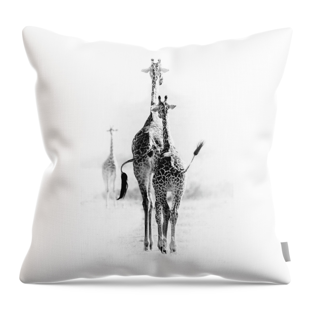 Giraffe Throw Pillow featuring the photograph Swish by Diana Andersen