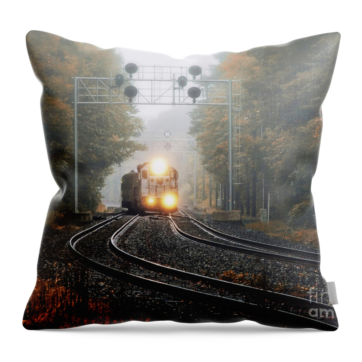 Transit Throw Pillow featuring the photograph Switching Tracks by Mark Miller