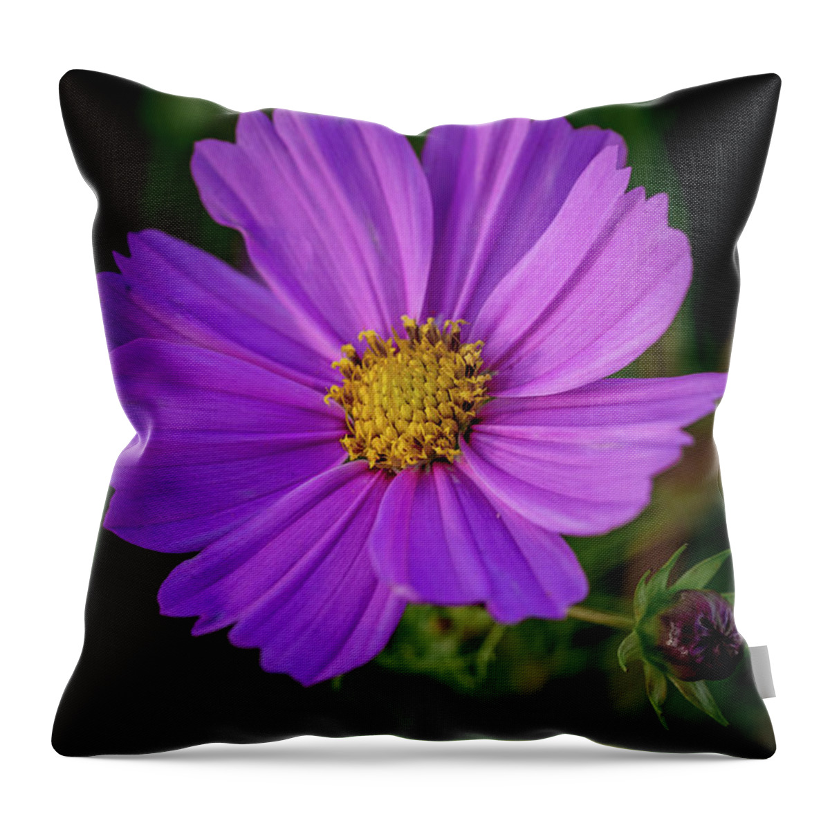 Flower Throw Pillow featuring the photograph Symmetrical Pedals by Aaron Burrows