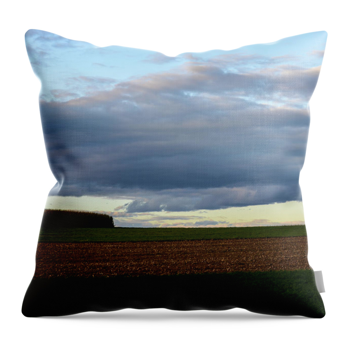 Rural Landscape Throw Pillow featuring the photograph Synchronized by Tana Reiff