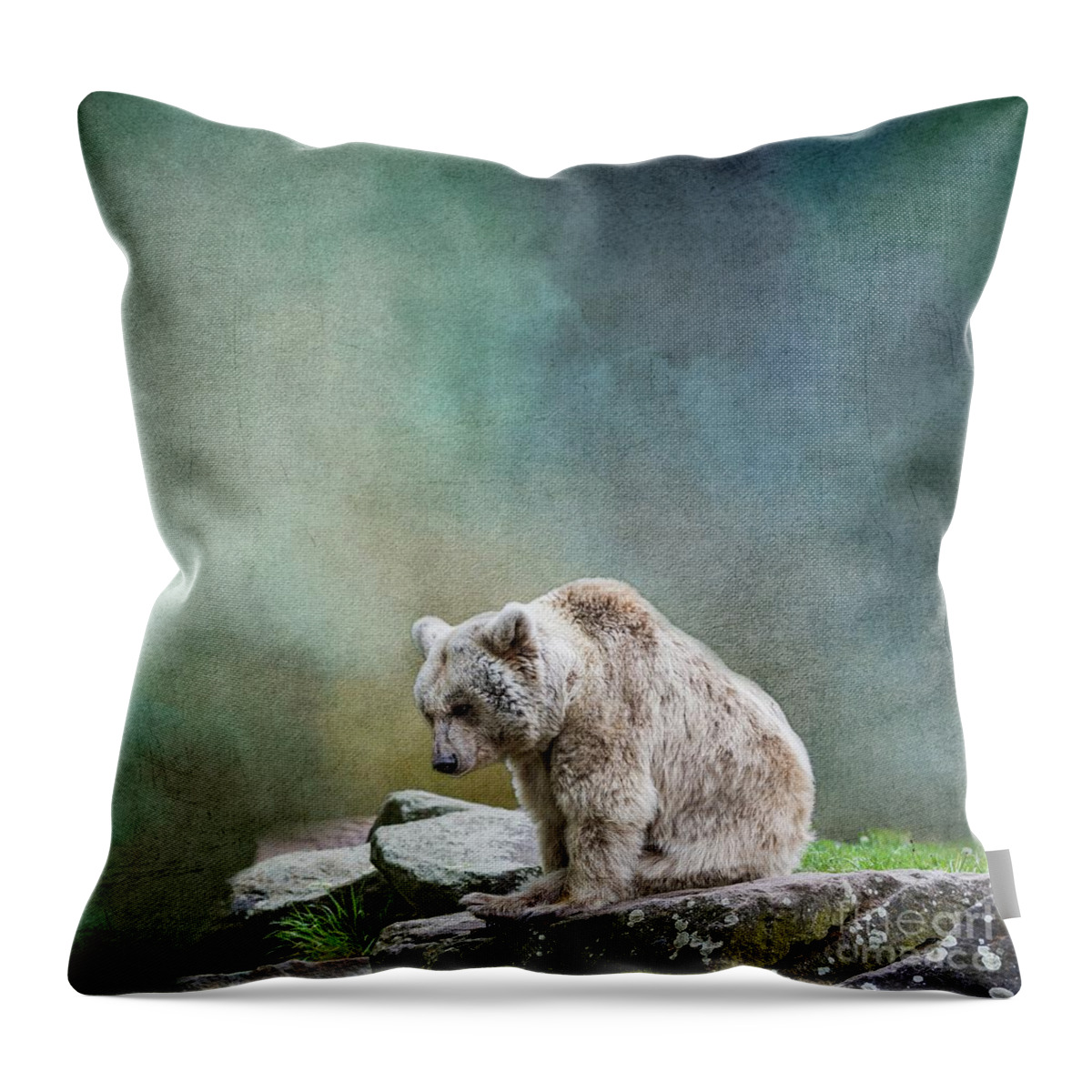 Syrian Brown Bear Throw Pillow featuring the photograph Syrian Brown Bear-3 by Eva Lechner