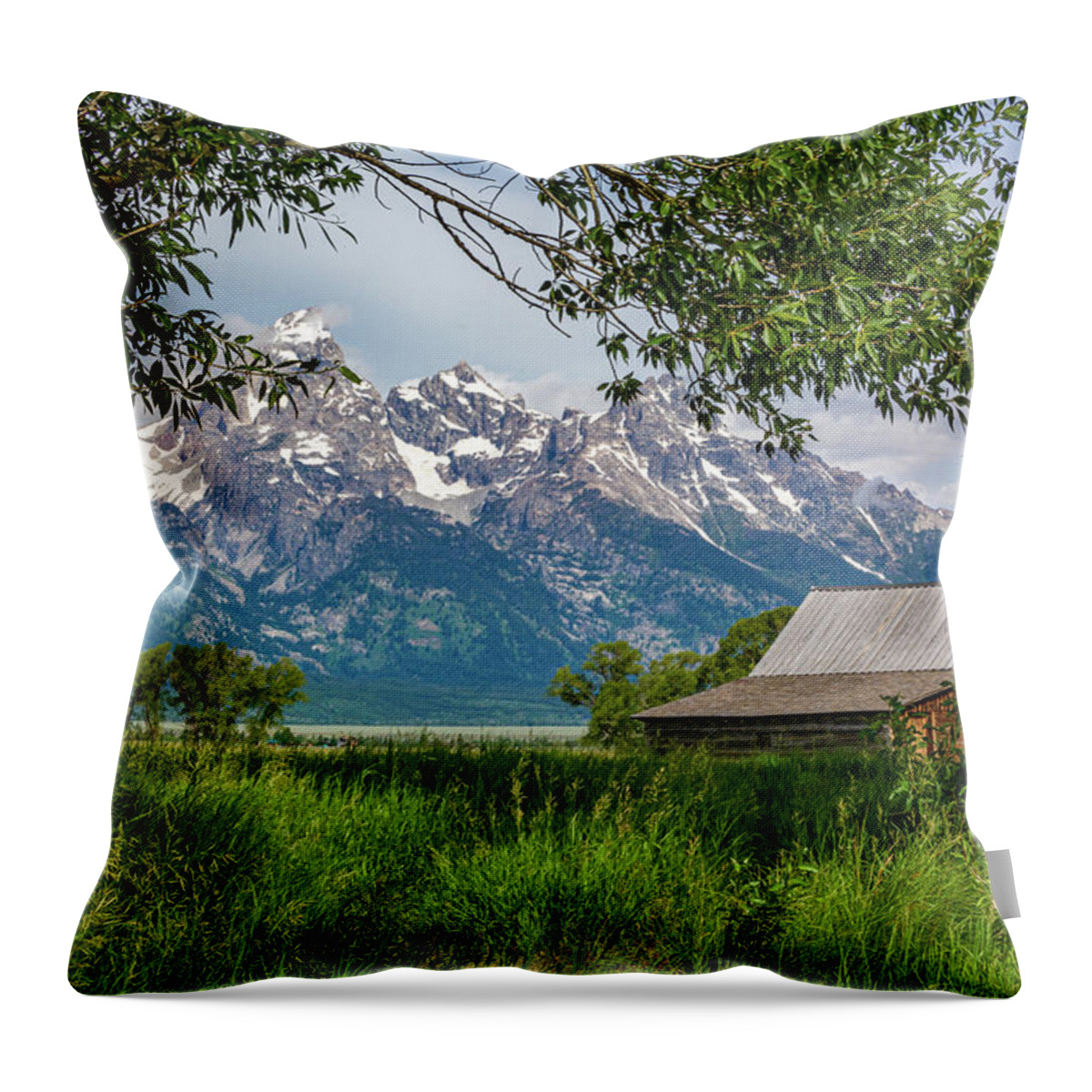 T.a. Moulton Throw Pillow featuring the photograph T A Moulton Barn Through the Trees by Douglas Wielfaert