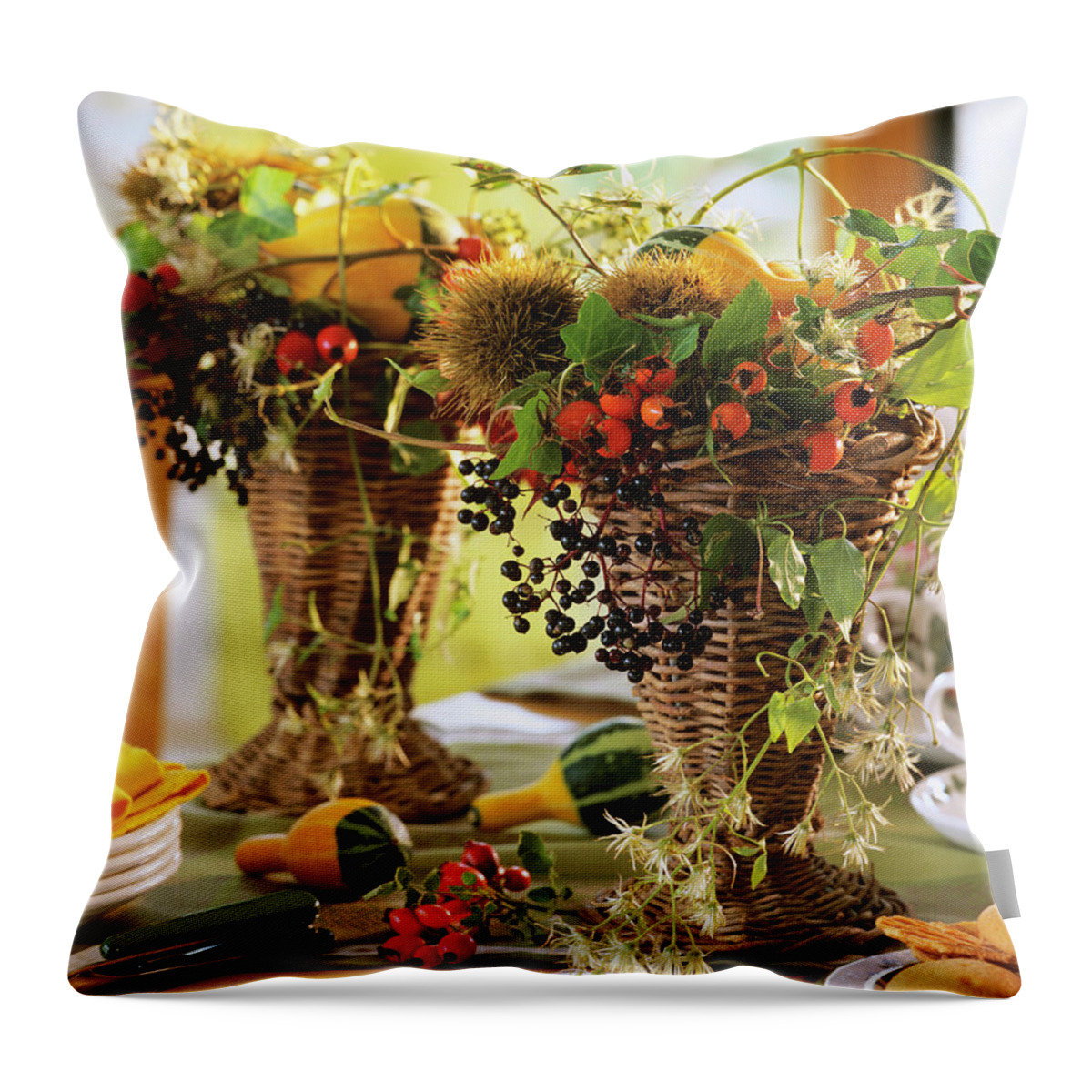 Ip_00272491 Throw Pillow featuring the photograph Table Arrangements Of Ornamental Gourds, Clematis & Rose Hips by Friedrich Strauss