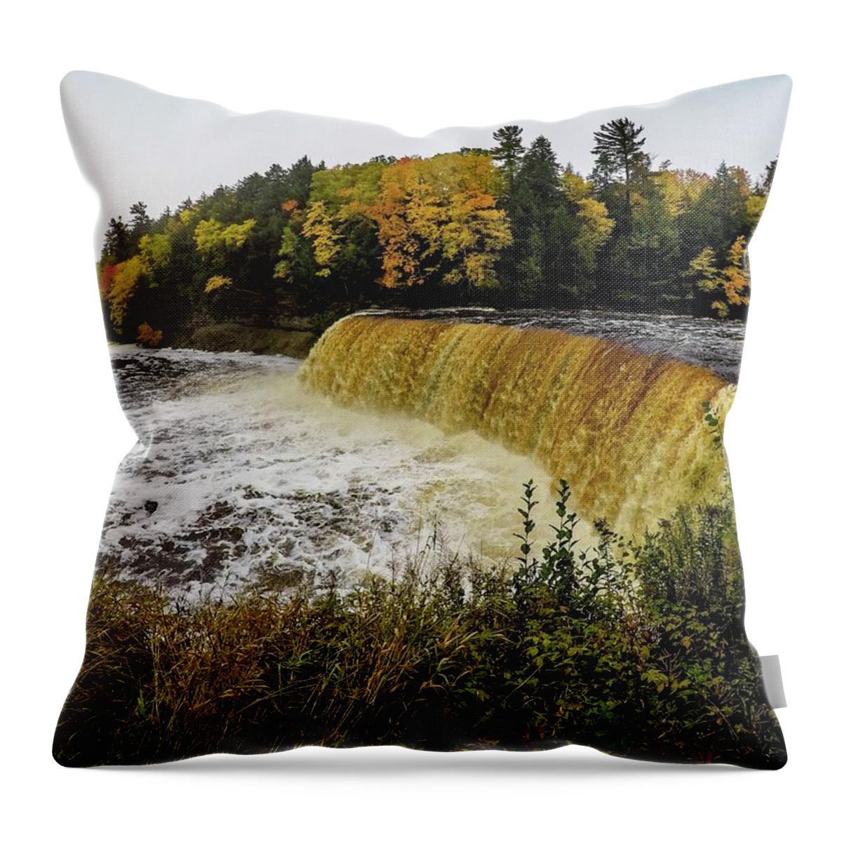 Tahquamenon Falls Throw Pillow featuring the photograph Tahquamenon Falls G0653263 by Michael Thomas