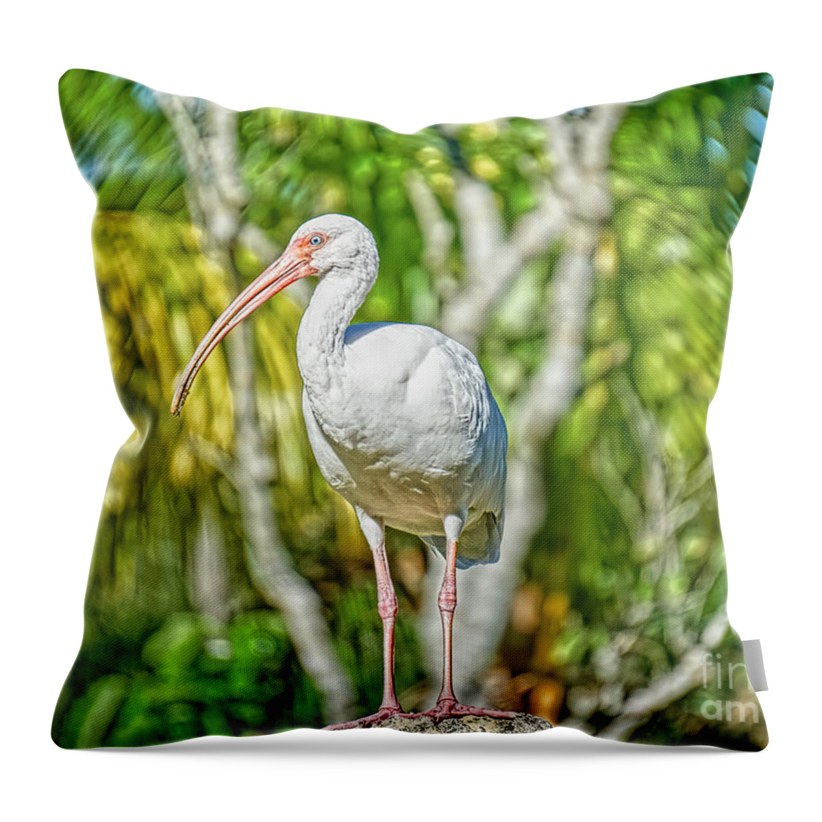 Everglades Birds Throw Pillow featuring the photograph Take A Stand by Judy Kay