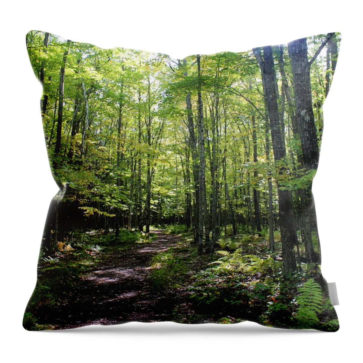 Walk In The Woods Throw Pillow featuring the photograph Take a Walk by John Olson