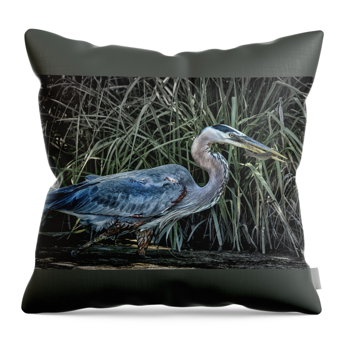 Birds Throw Pillow featuring the photograph Tasty Treat by Ray Silva