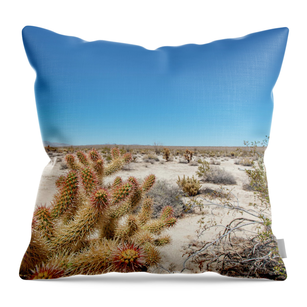 Anza-borrego Desert State Park Throw Pillow featuring the photograph Teddy Bear Cactus by Mark Duehmig