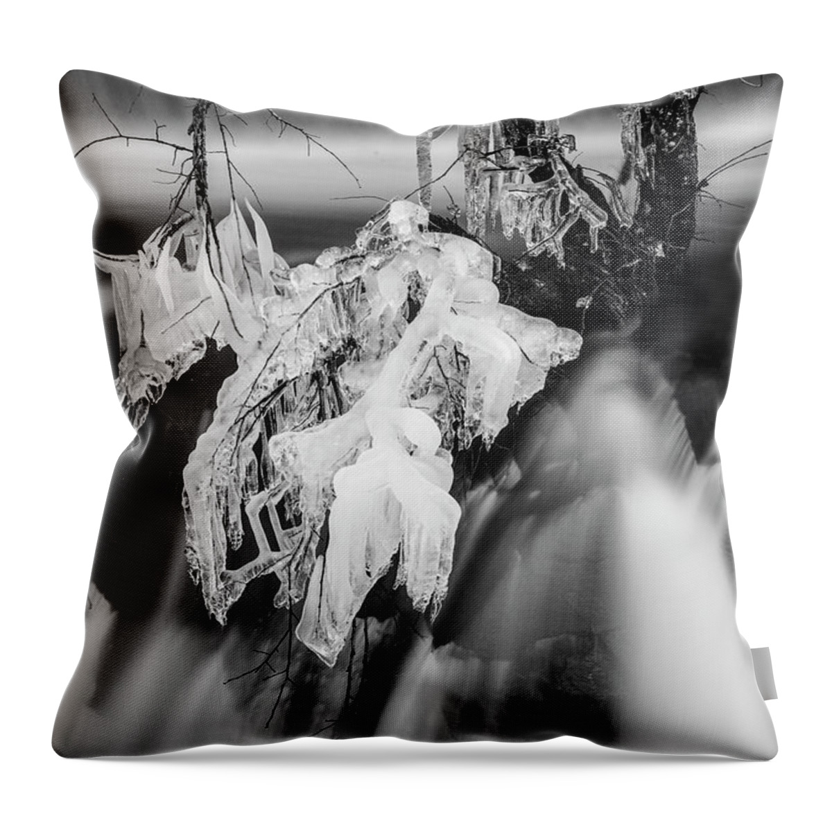 10 Mile River Throw Pillow featuring the photograph Ten Mile River VII Hunts Mills BW by David Gordon