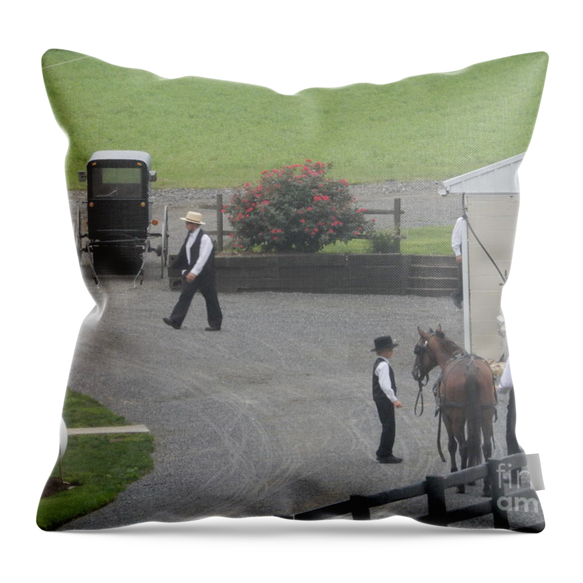 Amish Throw Pillow featuring the photograph Tending to a Horse Before Church by Christine Clark